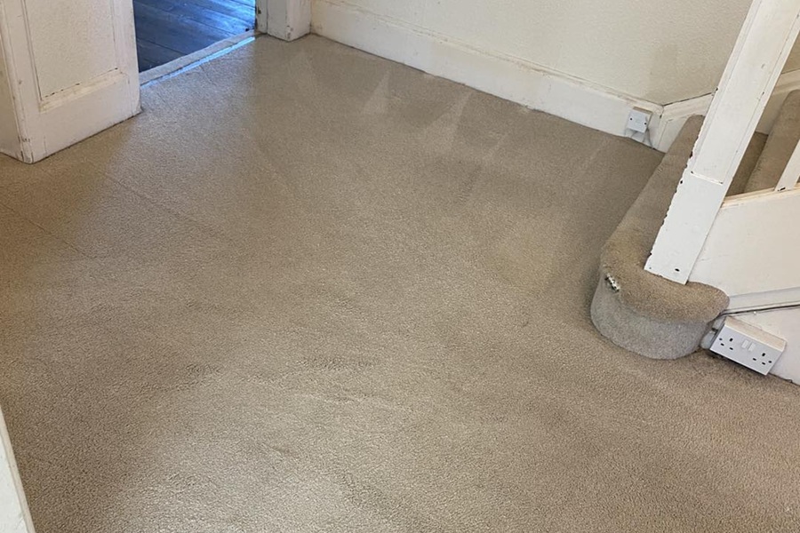 Carpet Cleaning service Nairobi
